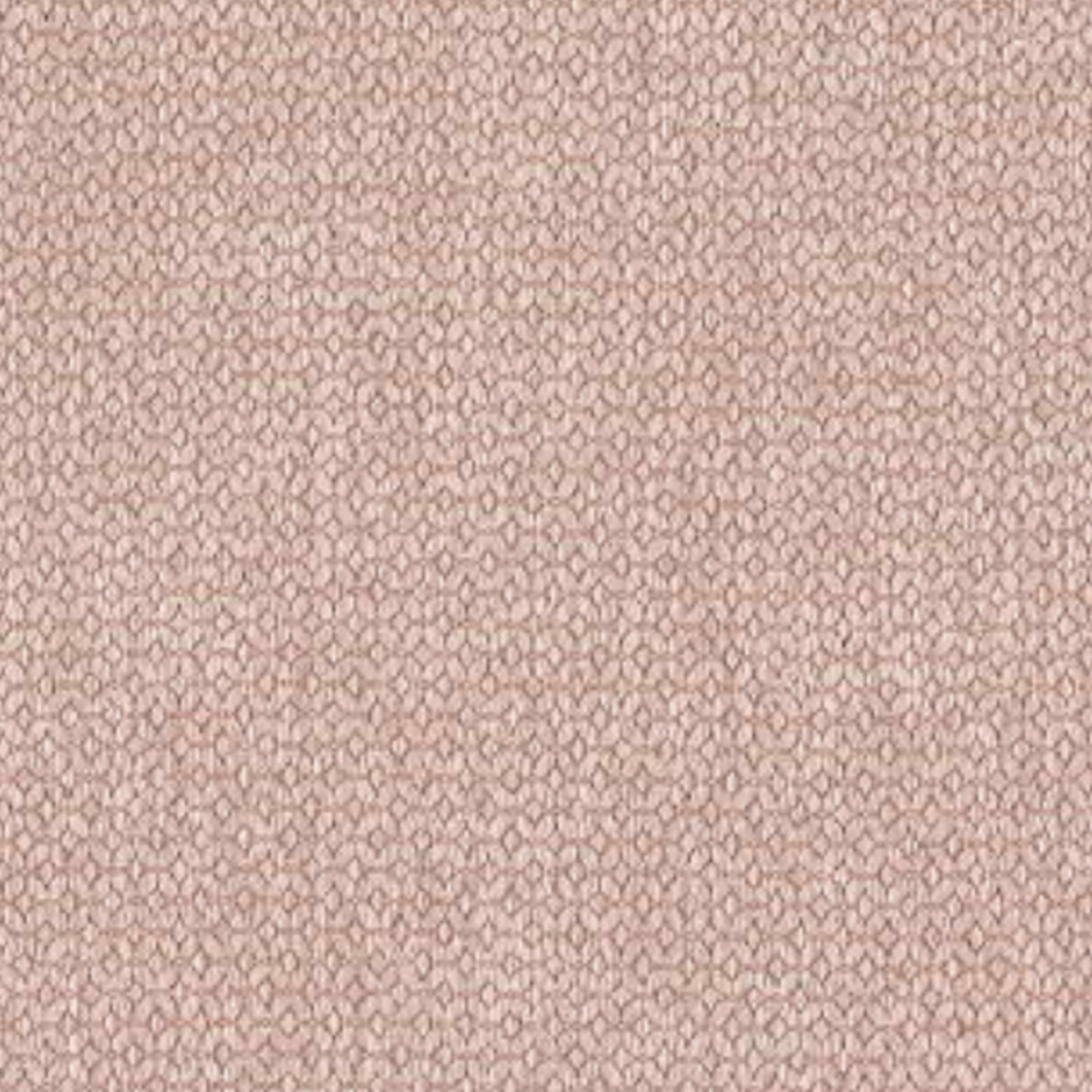 Ally Chair by Molmic