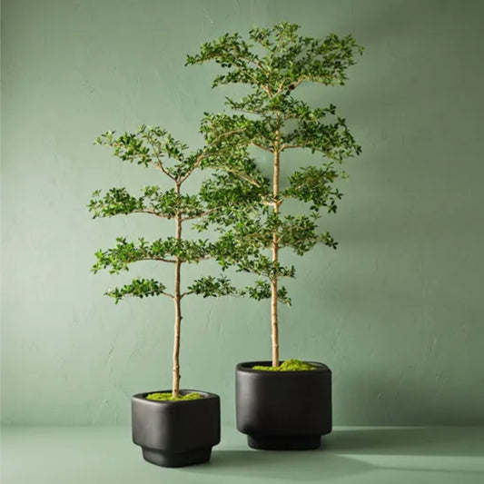 Artificial Moss Sheet