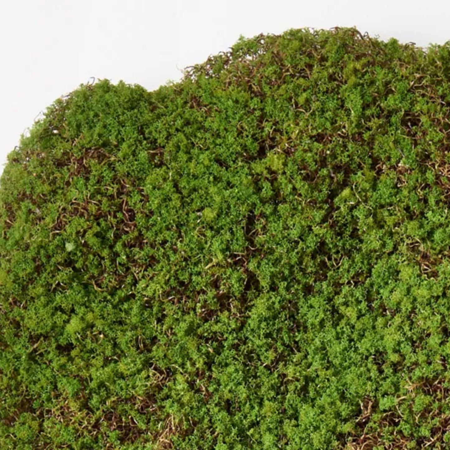 Artificial Moss Sheet