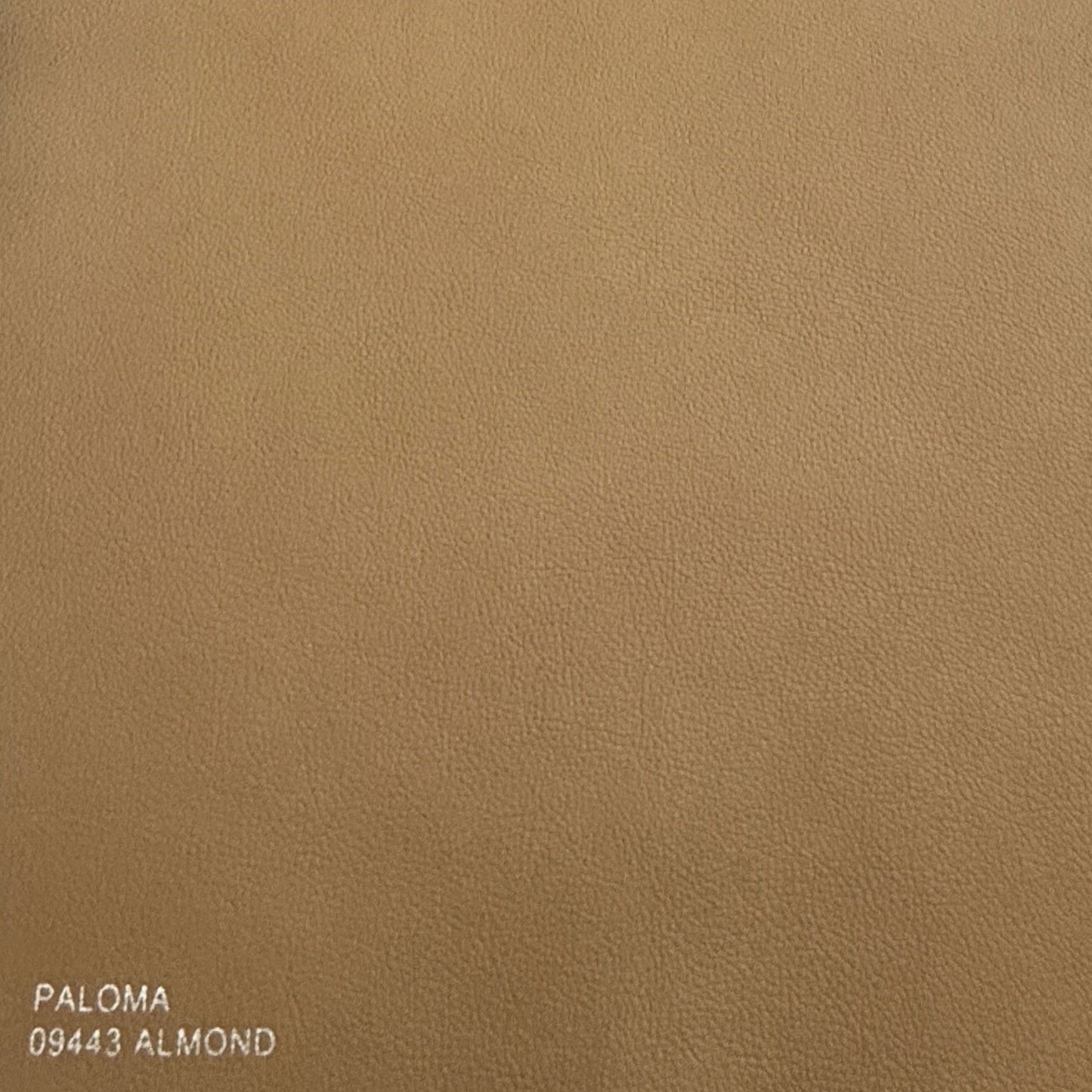 Stressless Paloma Leather Almond