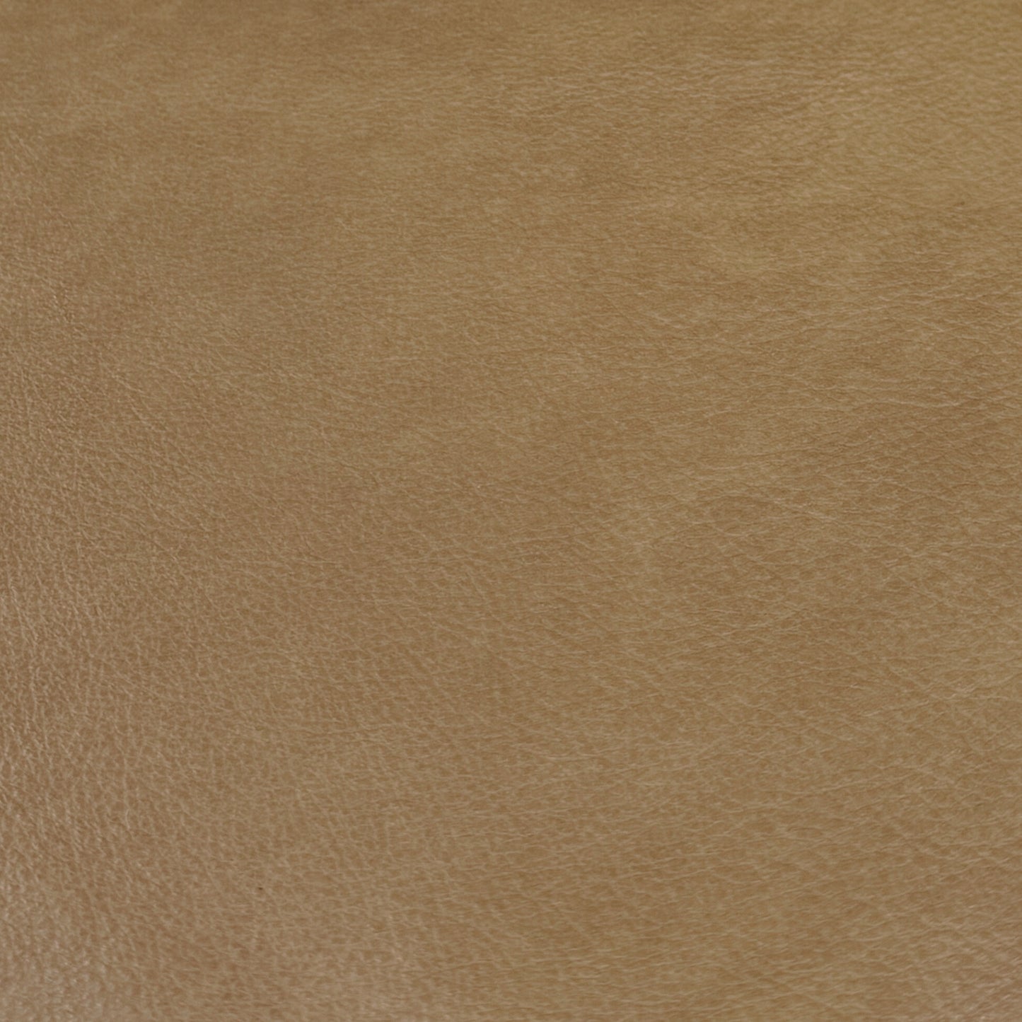 IMG Sauvage Leather Amber