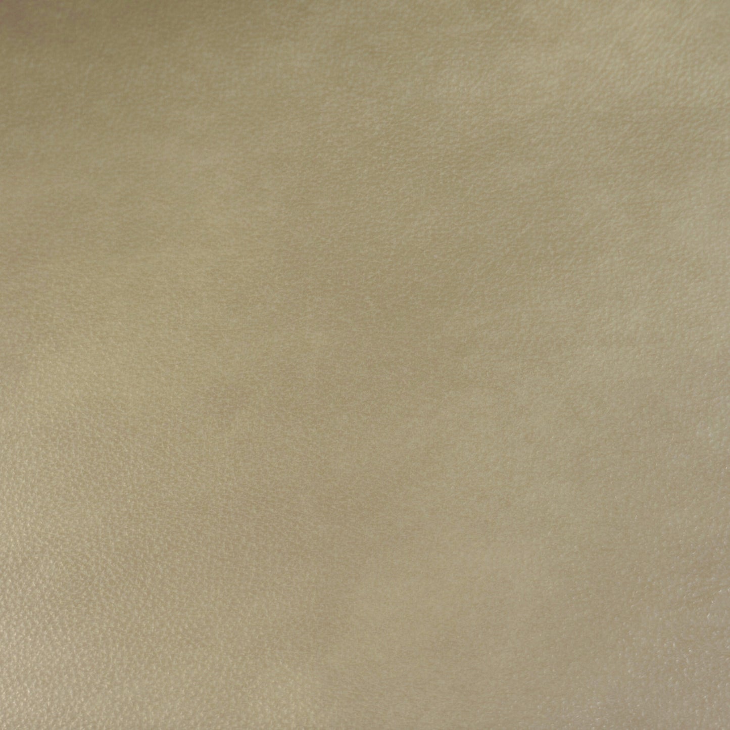 IMG Sauvage Leather Dove