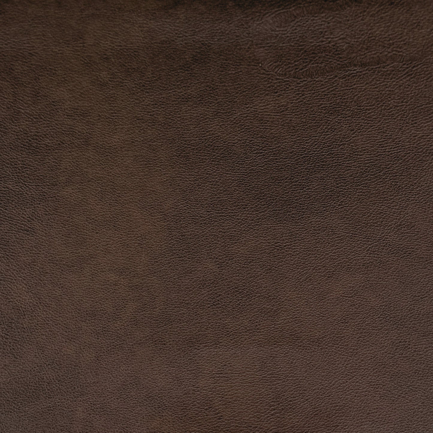 IMG Sauvage Leather Truffle