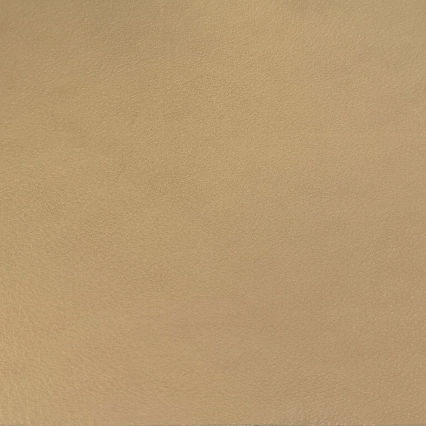 IMG Trend Leather Biscuit