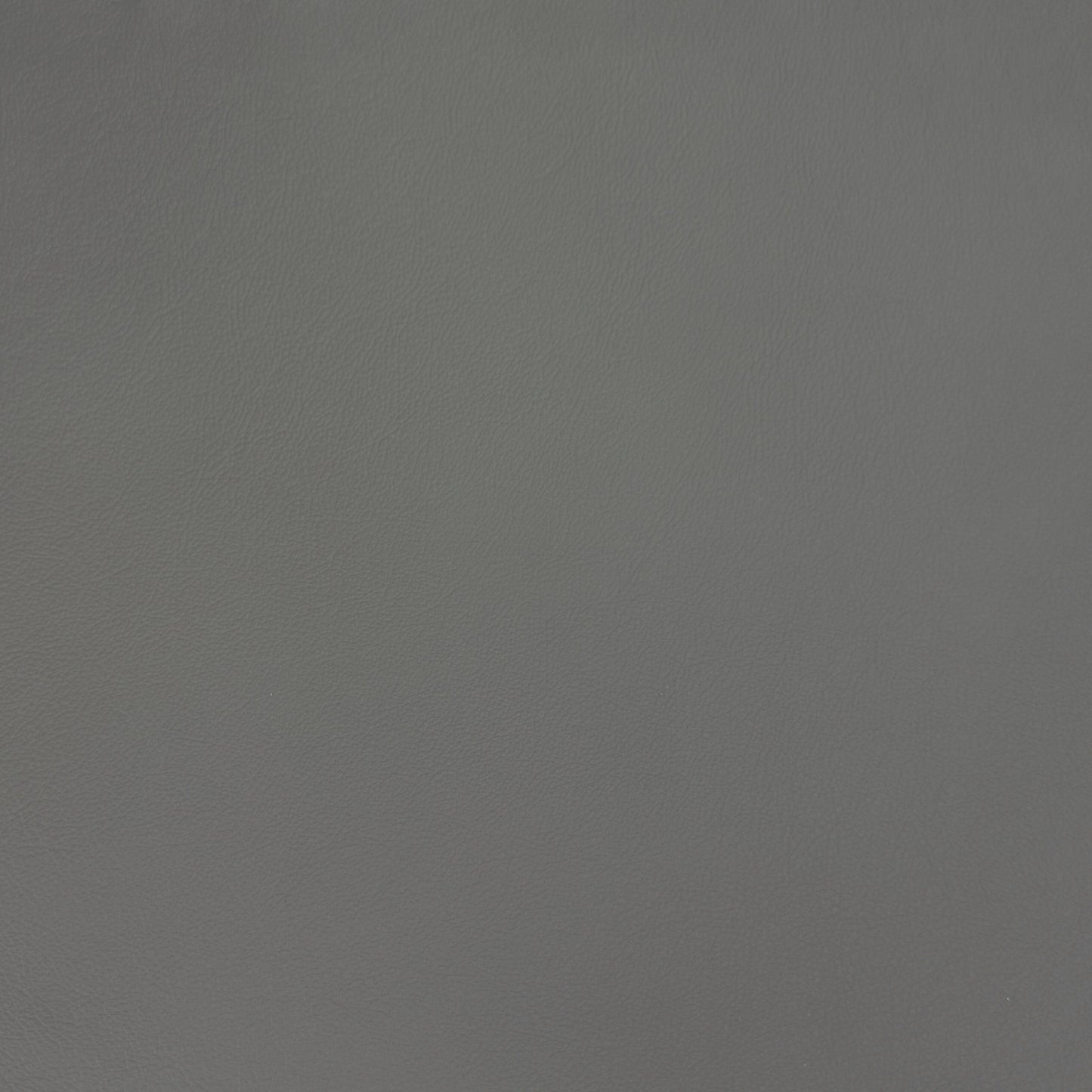 IMG Trend Leather Nickel