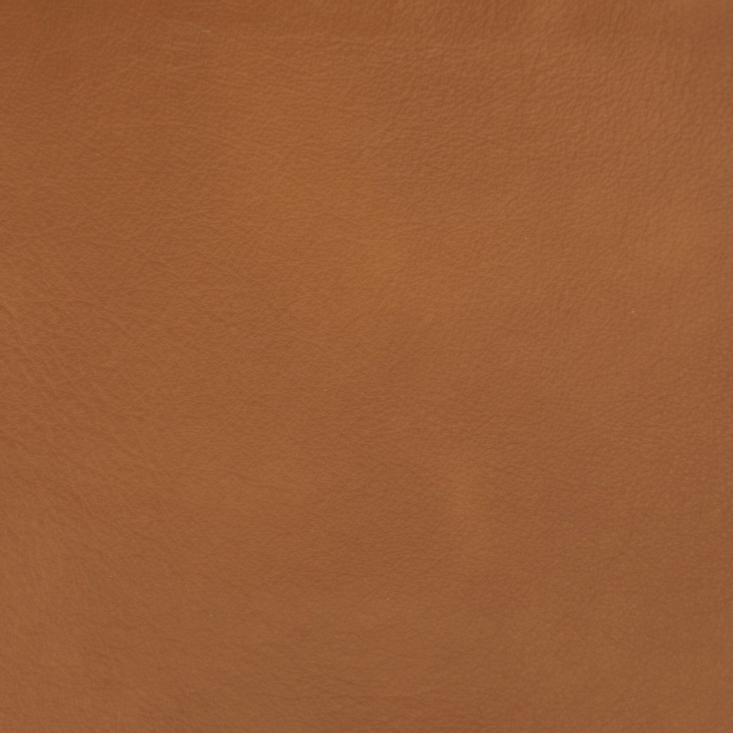 IMG Trend Leather Whiskey
