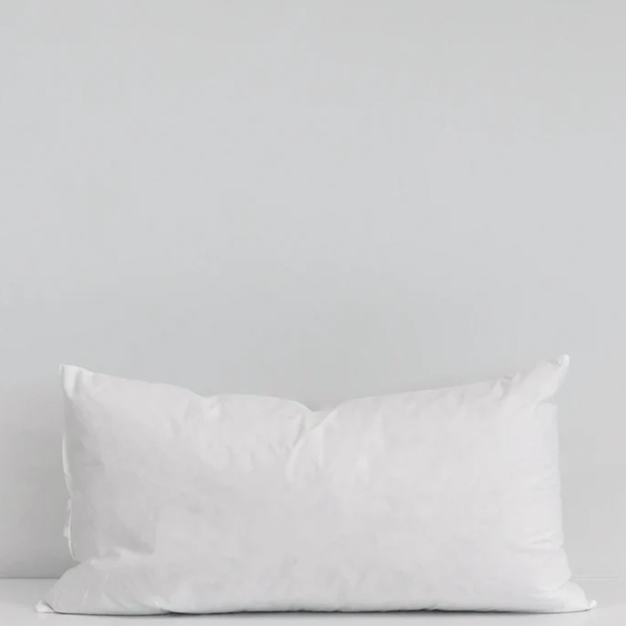 Cushion Feather Inner - Rectangle