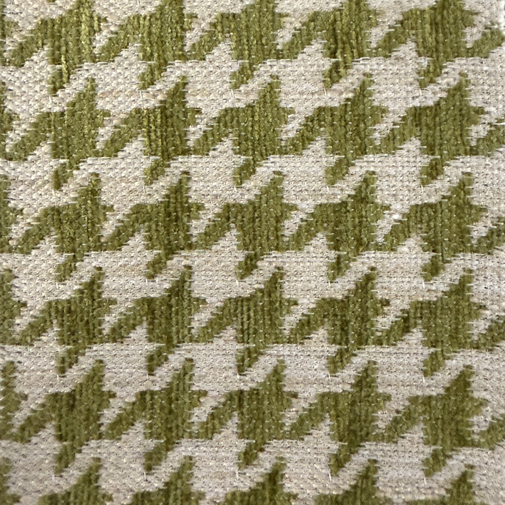 Airlie Fern