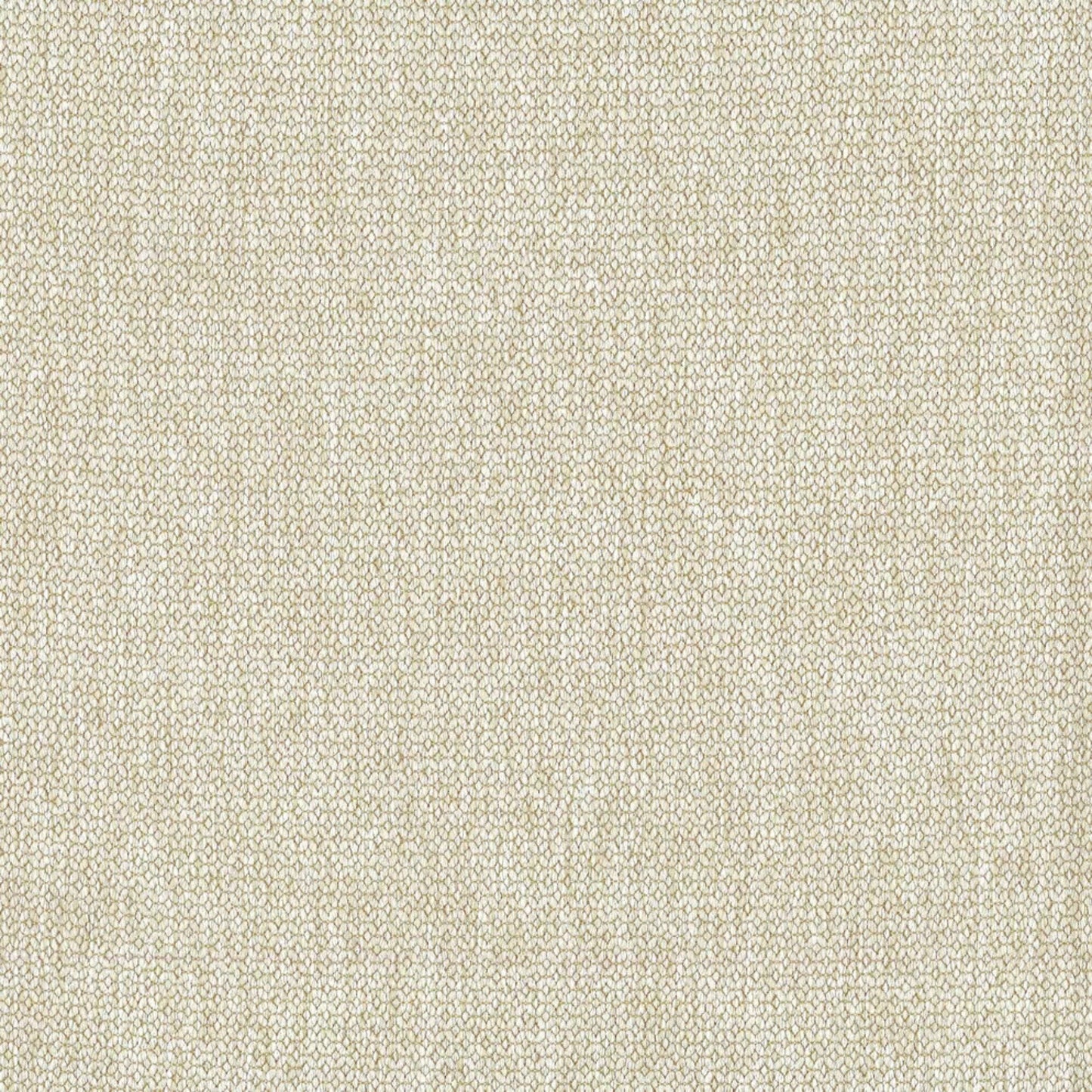 Ally Chair by Molmic