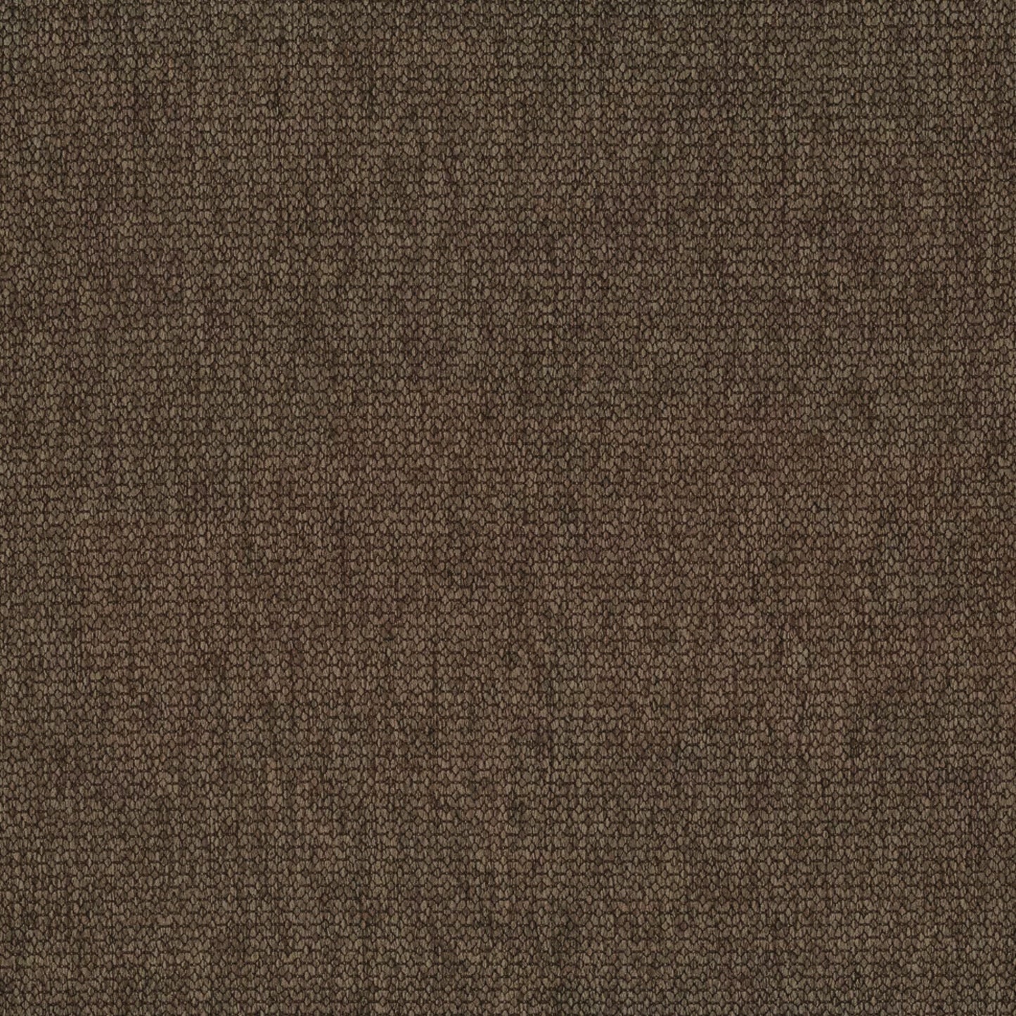 Ally Chair by Molmic