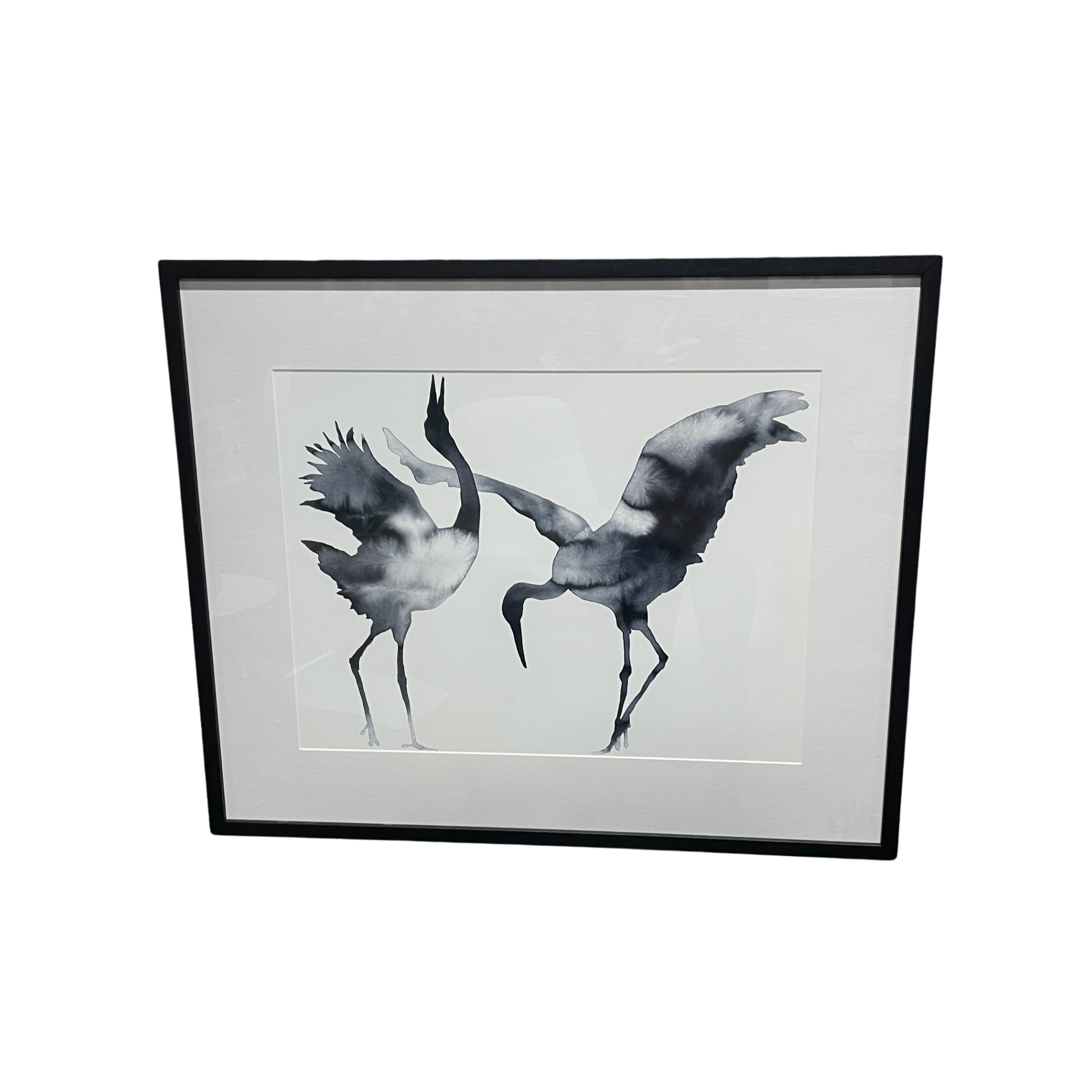Cavorting Cranes