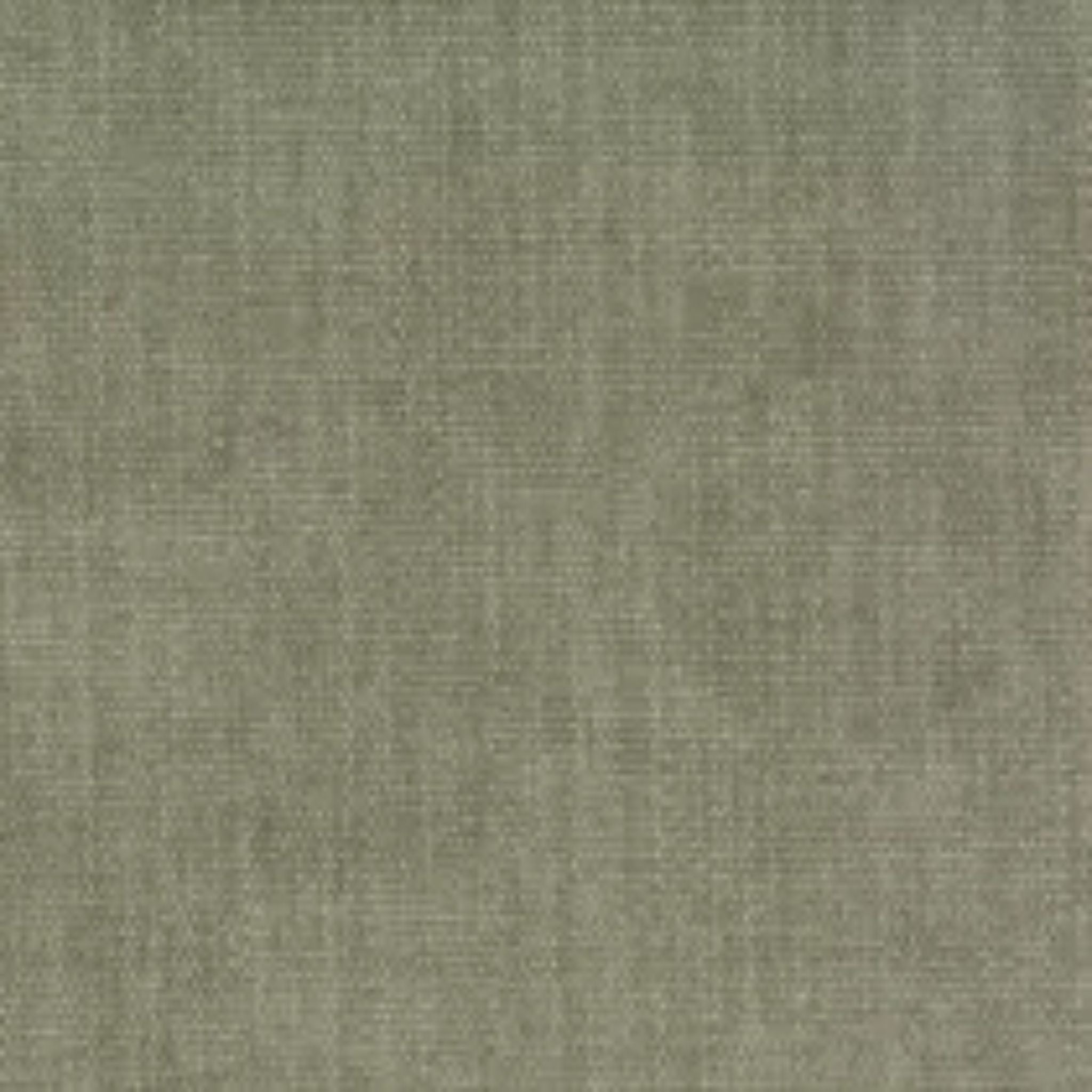 Copeland Eucalyptus