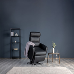 Divani Lift Chair by IMG