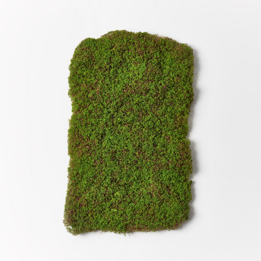 Artificial Moss Sheet