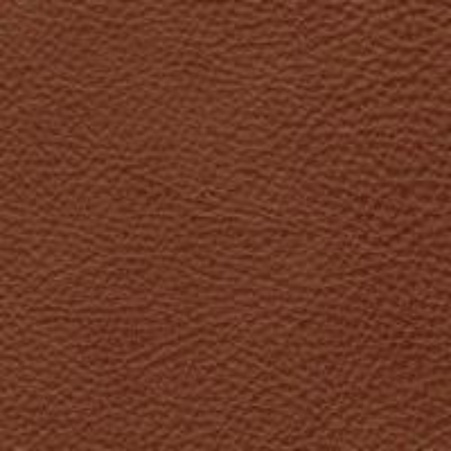 IMG Sauvage Leather Nutmeg