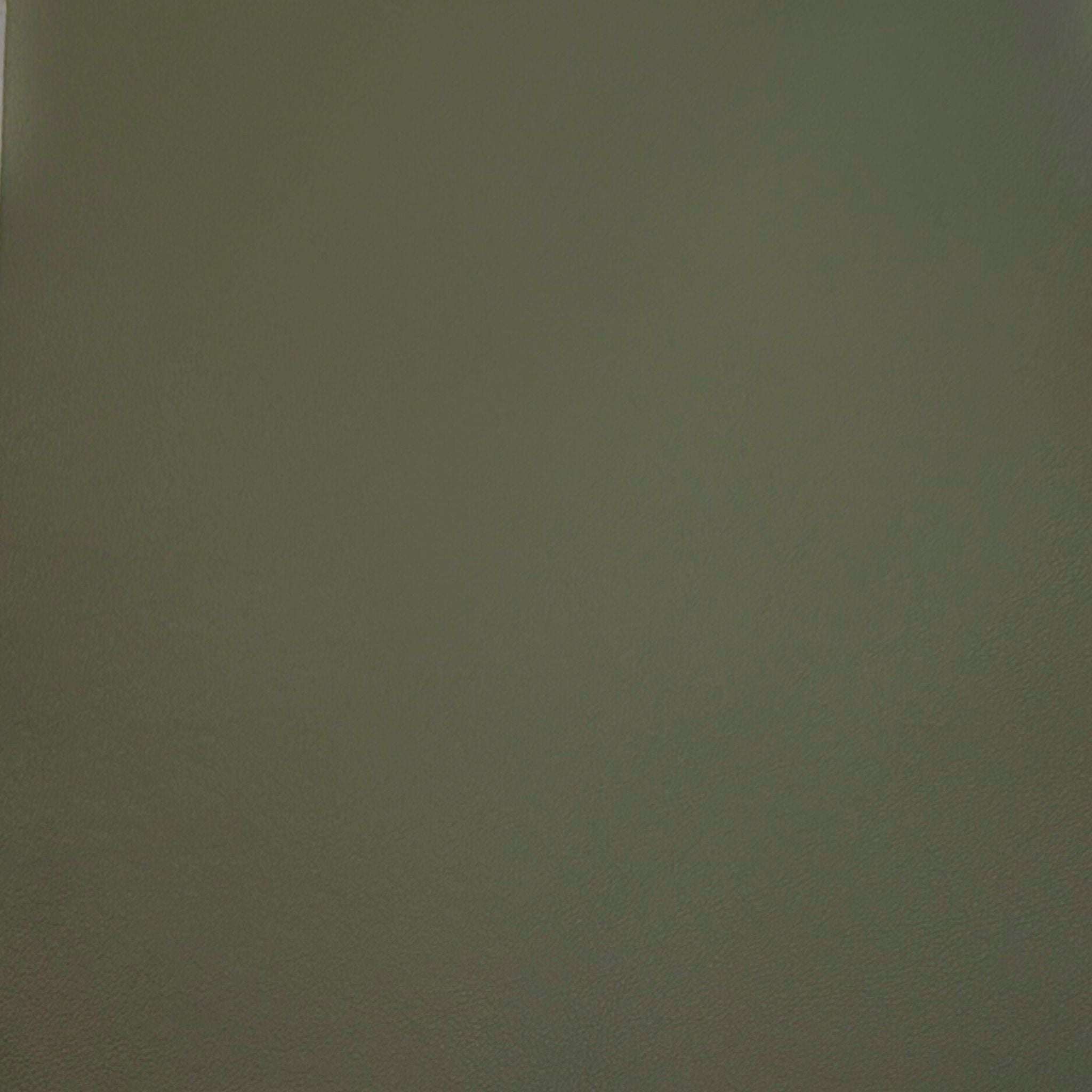 Paloma Leather Shadow Green