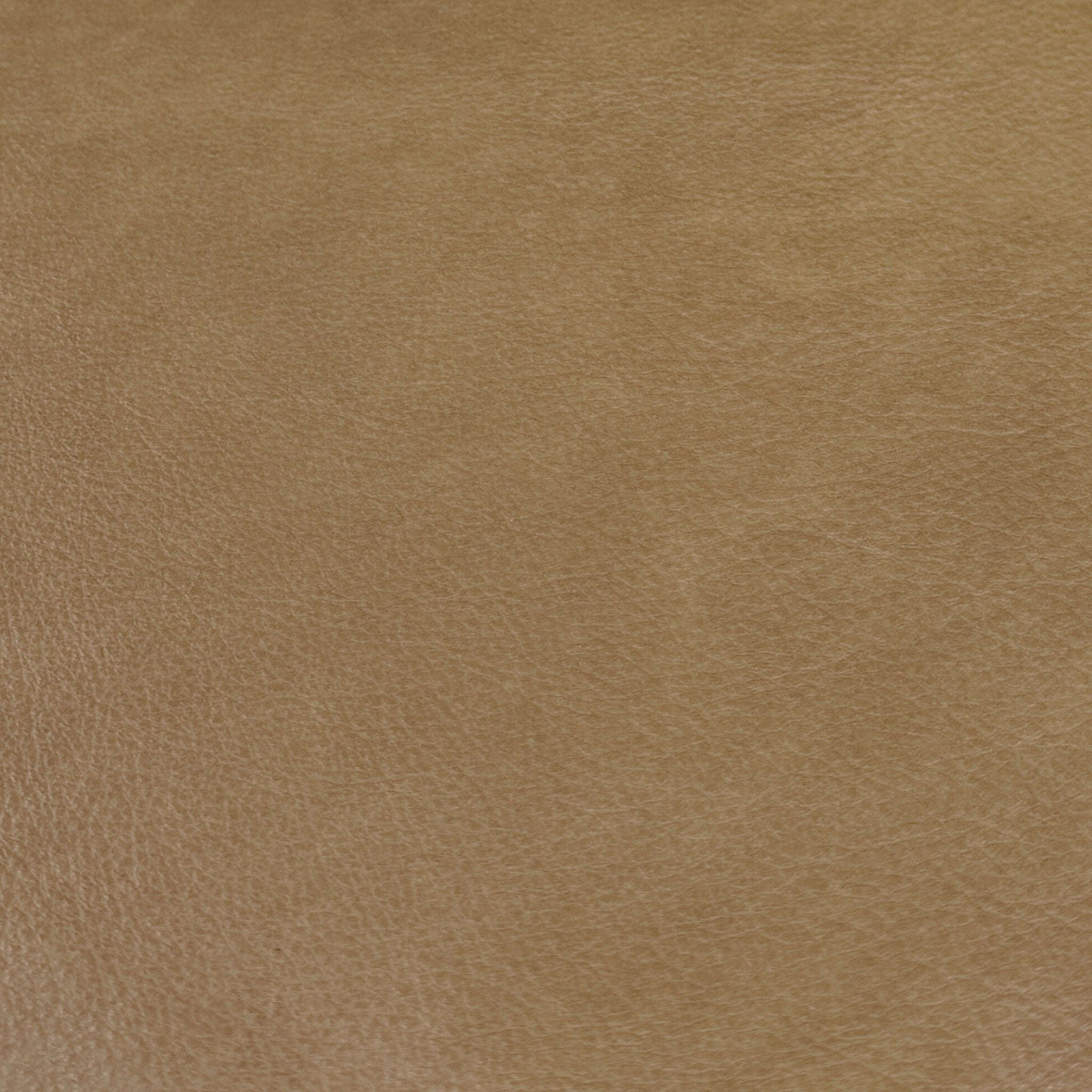 IMG Sauvage Leather Amber