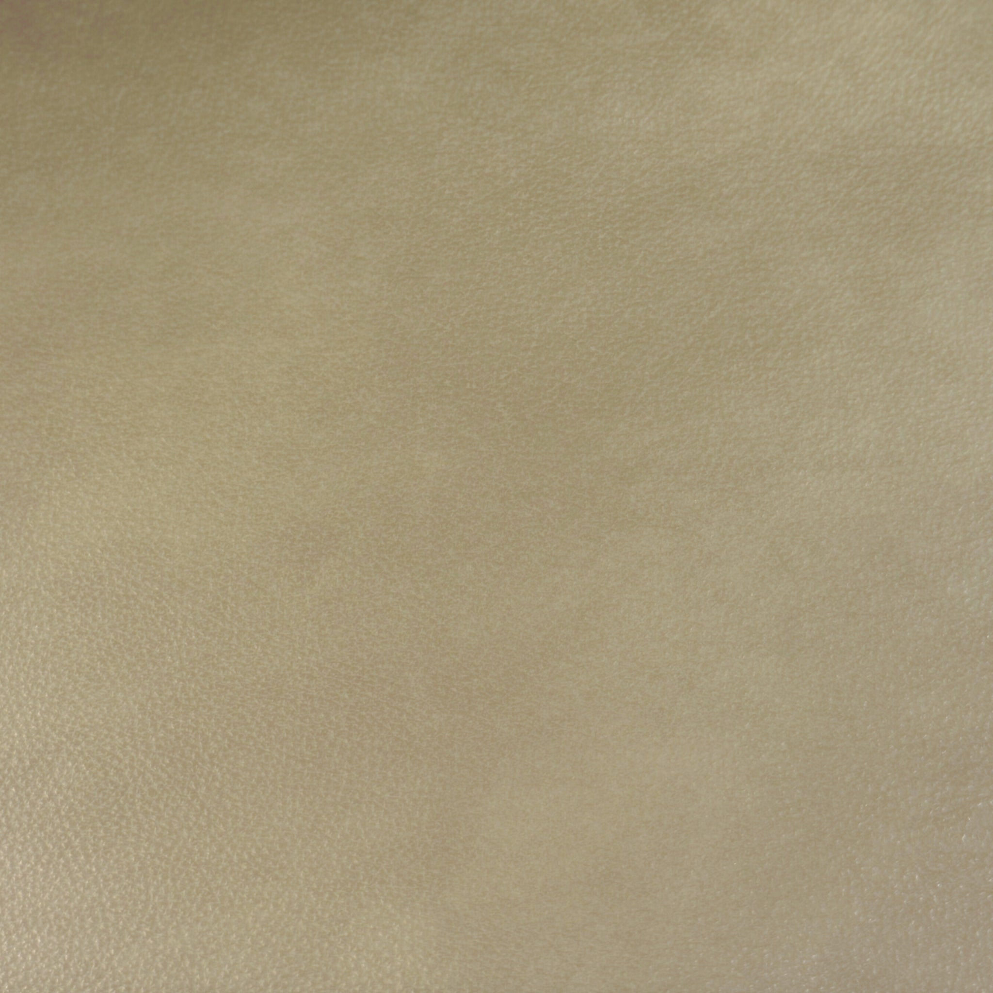 IMG Sauvage Leather Dove