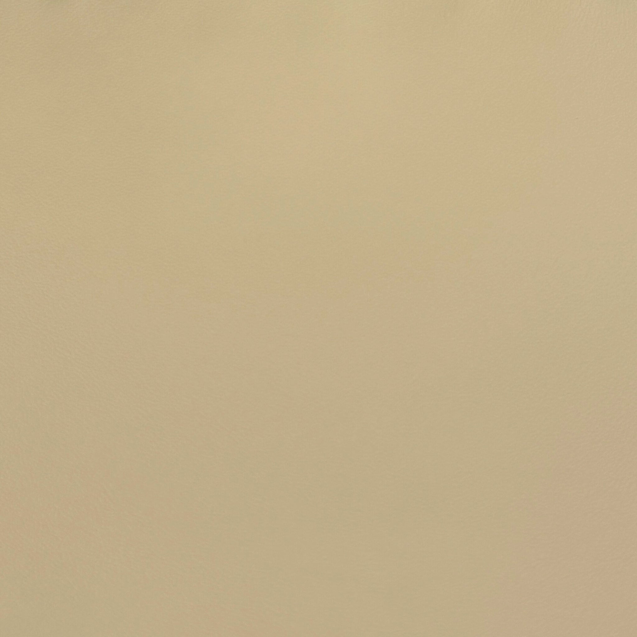 IMG Trend Leather Beige