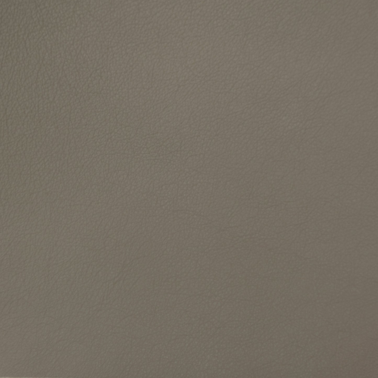 IMG Trend Leather Earth