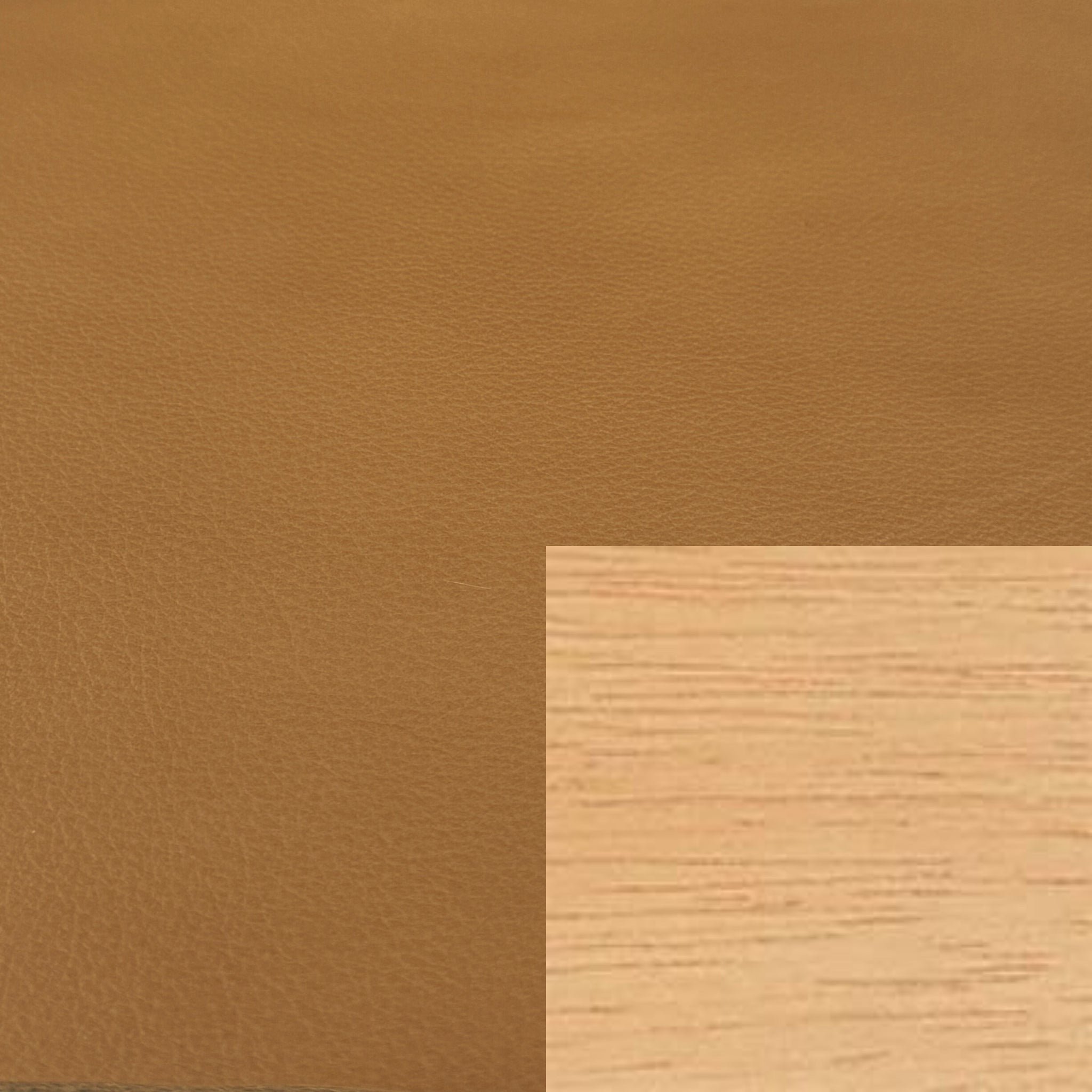 Trend Nature Leather with Oak Stained Timber