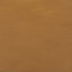 IMG Trend Leather Nature