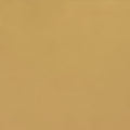IMG Trend Leather Saffron