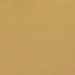 IMG Trend Leather Saffron