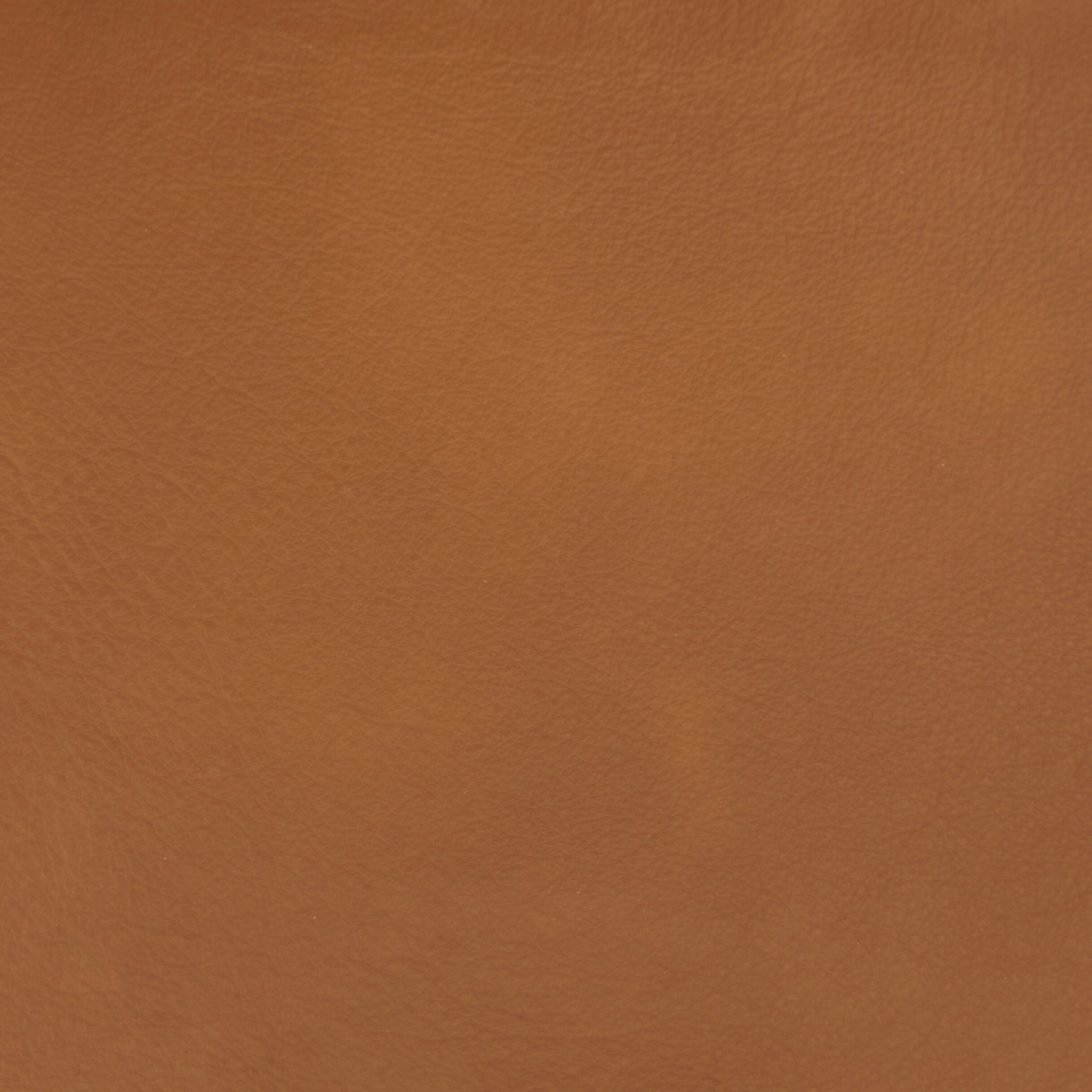 IMG Trend Leather Whiskey