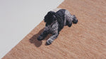 Unmarkable Textile & Rug Spot Cleaner by Warwick