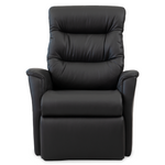 Liberty Lift Chair by IMG