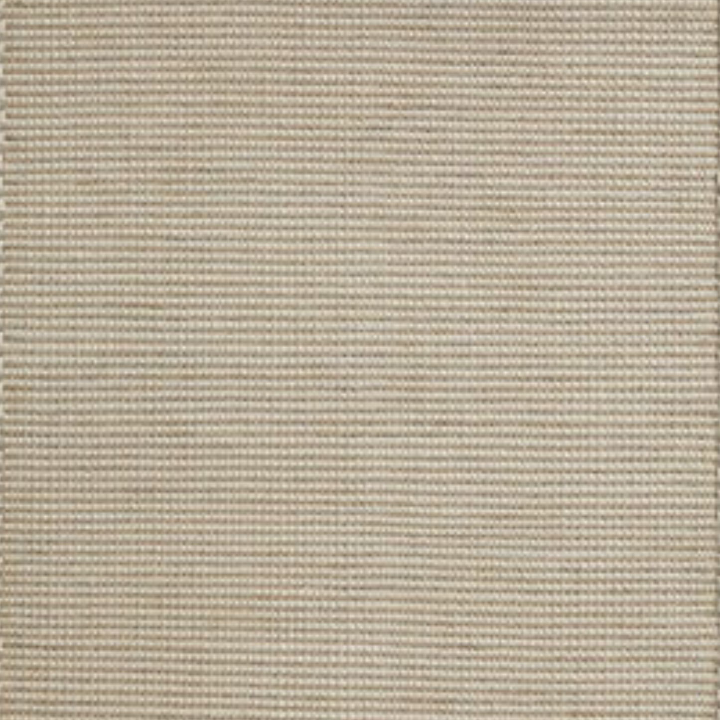 Grampian Rug Sandstone