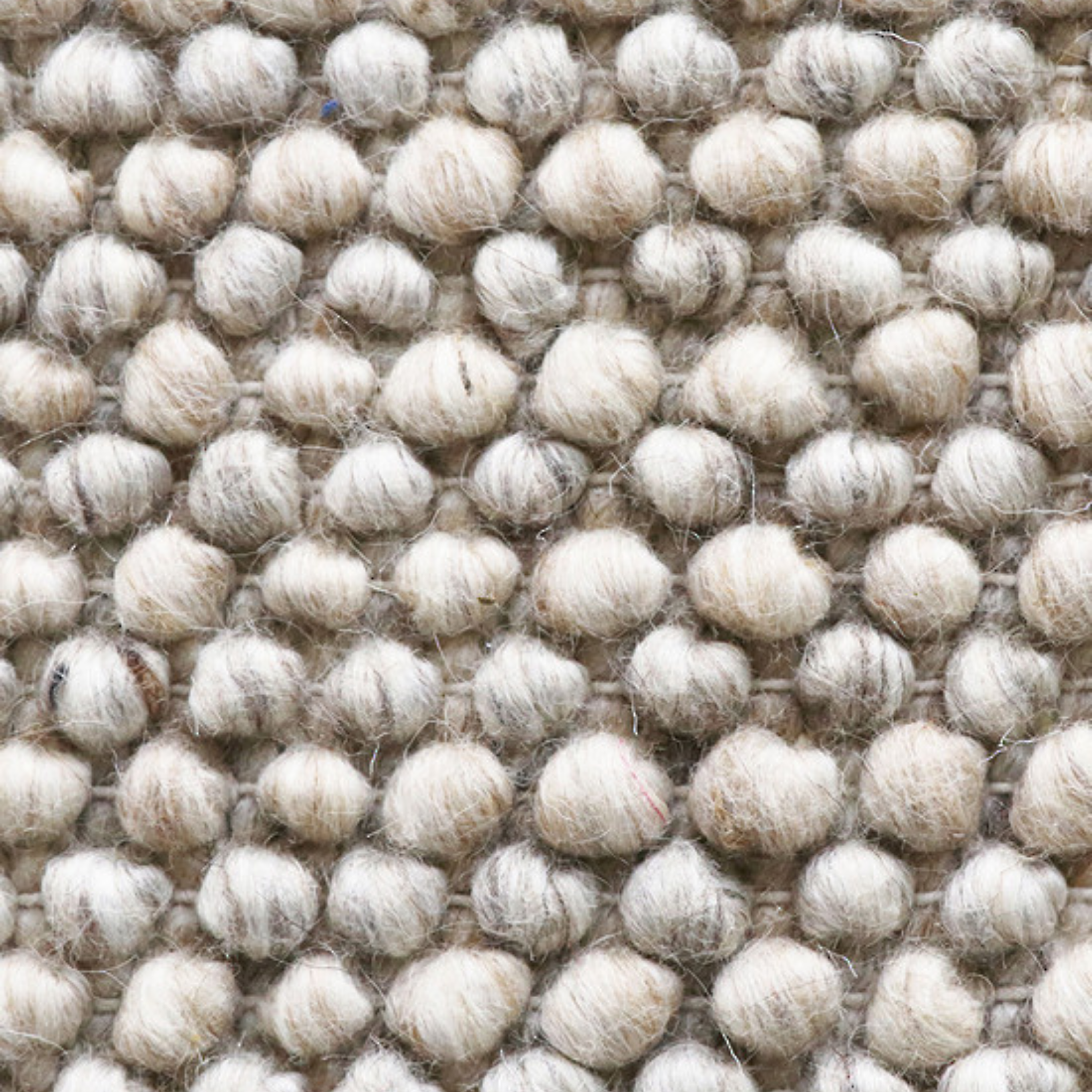 Roxburgh Rug Parchment Ex Display